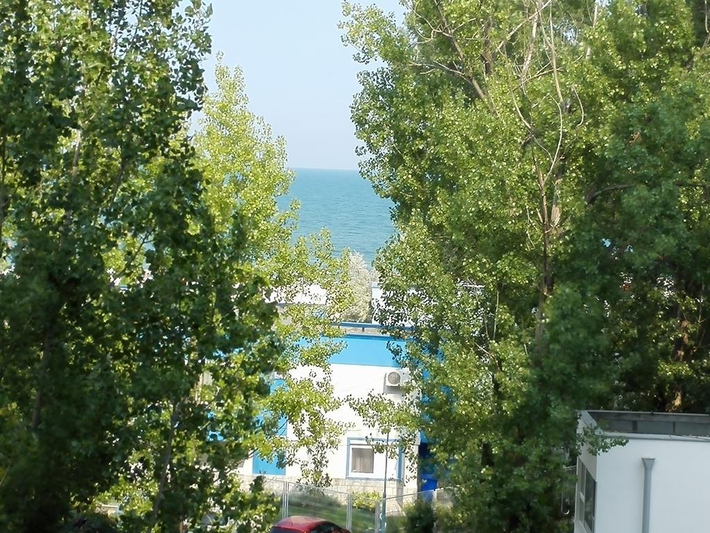 Blue Bike Studio Mamaia Værelse billede